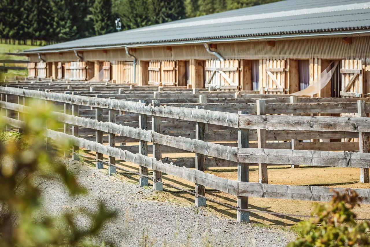 Ranchhouse Bubble - Westernstable - Horse Elterlein Kültér fotó